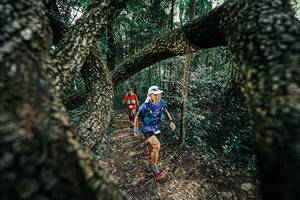 BIB: 
                            <button type="button" onclick="openModal(25392059)" class="btn btn-primary btn-sm float-right btn-popup" data-toggle="modal" data-target=".modal-high-quality">
                        <i class="fas fa-shopping-cart"></i> Add to Cart
                    </button>
                                            <button type="button" onclick="isThisMe(25392059, true)" class="btn btn-success btn-sm float-right btn-popup btn-isme hidden" data-toggle="tooltip" data-placement="bottom" title="นี่คือรูปของคุณใช่ไหม คลิกที่นี่เพื่อเอาเข้าอัลบั้ม">
                        <i class="fas fa-plus"></i> Add to album
                    </button>
                    <button type="button" onclick="isThisMe(25392059, false)" class="btn btn-warning btn-sm float-right btn-popup btn-isnotme hidden">
                        <i class="fas fa-ban"></i> Remove from album
                    </button>